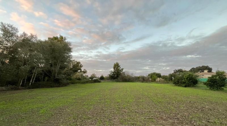 Cádiz - Jerez de la Frontera - 5851m2