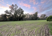 Terreny no urbanitzable en venda a la España, Jerez de la Frontera, ref.: TR218477 foto