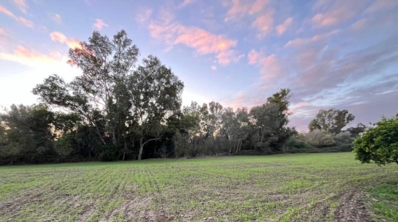 Cádiz - Jerez de la Frontera - 5851m2