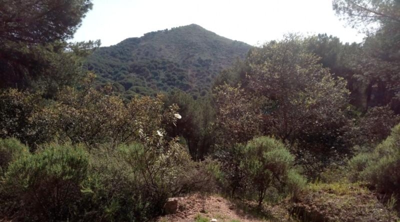 Córdoba - Córdoba - 3299m2