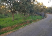 Terreny no urbanitzable en venda a la España, Badajoz, ref.: TR224467 foto