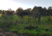 Terreny no urbanitzable en venda a la España, Badajoz, ref.: TR224467 foto