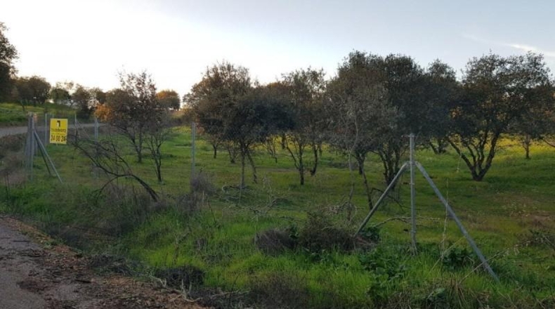 Badajoz - Badajoz - 7270m2