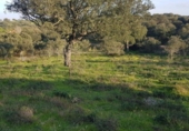 Terreny no urbanitzable en venda a la España, Badajoz, ref.: TR224467 foto