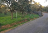 Terreny no urbanitzable en venda a la España, Badajoz, ref.: TR224490 foto