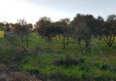 Terreny no urbanitzable en venda a la España, Badajoz, ref.: TR224490 foto