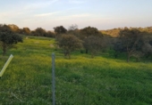 Terreny no urbanitzable en venda a la España, Badajoz, ref.: TR224490 foto