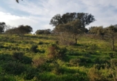 Terreny no urbanitzable en venda a la España, Badajoz, ref.: TR224490 foto