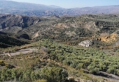 Non-developable land for sale on España, Laroles, ref: TR315757 photo