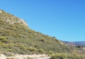 Non-developable land for sale on España, Laroles, ref: TR315757 photo