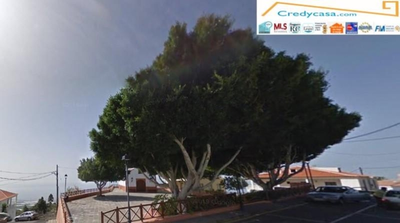 Santa Cruz de Tenerife - Guía de Isora - 363m2