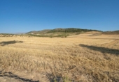 Detached villa with land for sale on España, Dílar, ref: TR232157 photo