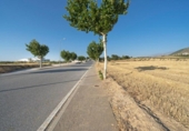 Detached villa with land for sale on España, Dílar, ref: TR232157 photo