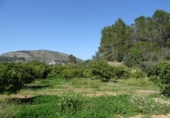 Земля на продажу у города Alcalalí Фото