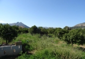 Земля на продажу у города Alcalalí Фото