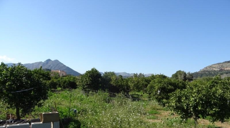 Alicante - Alcalalí - 4602m2