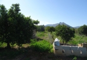 Земля на продажу у города Alcalalí Фото