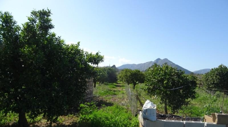 Alicante - Alcalalí - 4602m2