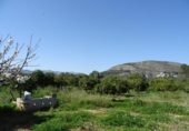 Земля на продажу у города Alcalalí Фото