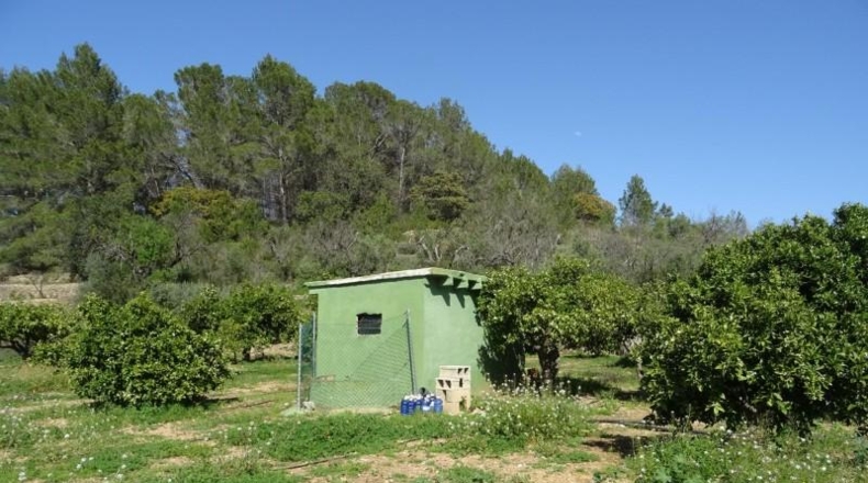 Alicante - Alcalalí - 4602m2