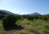 Земля на продажу у города Alcalalí Фото