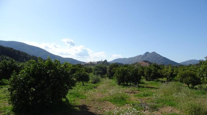 Alicante - Alcalalí - 4602m2
