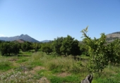 Земля на продажу у города Alcalalí Фото