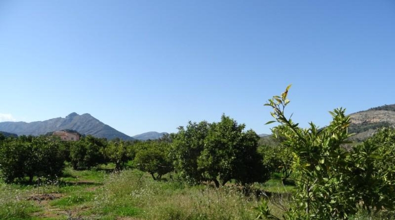 Alicante - Alcalalí - 4602m2