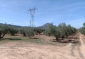 Xalet independent amb terreny en venda a la España, Albolote, ref.: TR286109 foto