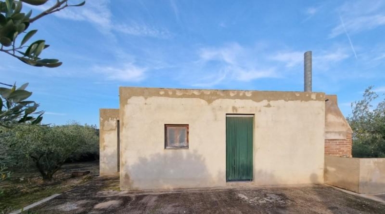 Alicante - Petrer - 3430m2