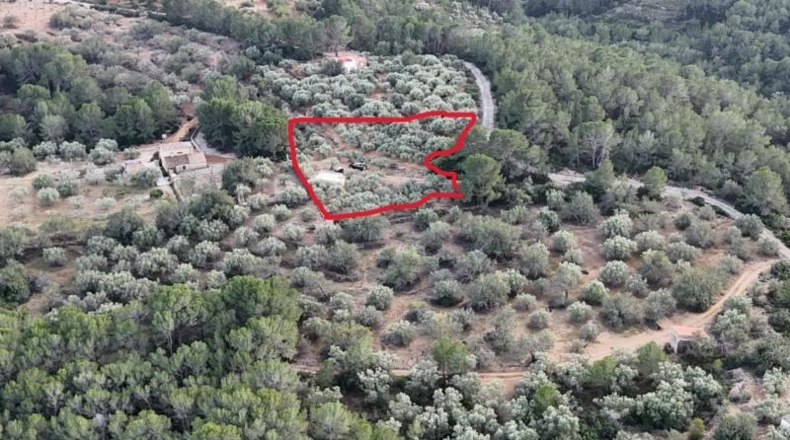 Alicante - Petrer - 3430m2