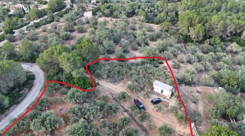 Alicante - Petrer - 3430m2