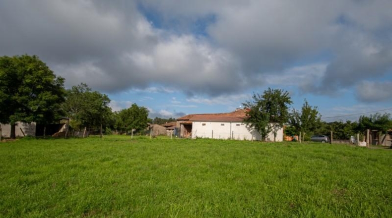 Asturias - Villaviciosa - 870m2