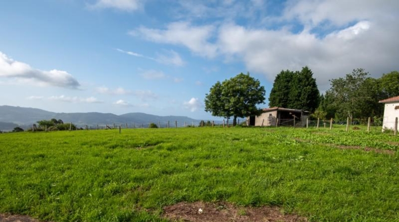 Asturias - Villaviciosa - 870m2