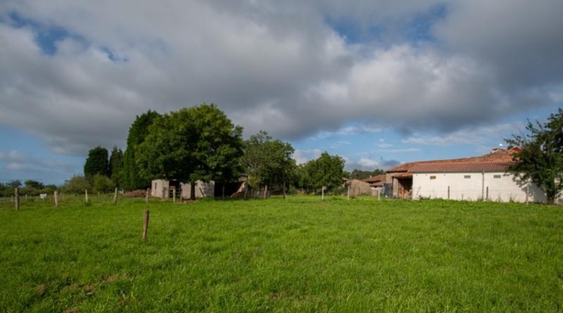Asturias - Villaviciosa - 870m2
