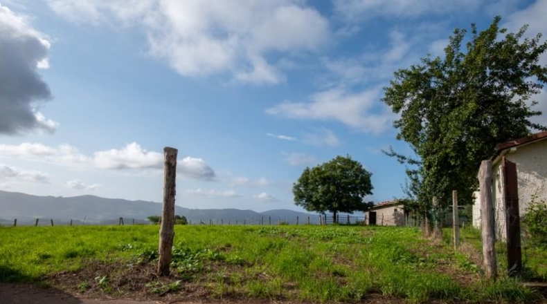 Asturias - Villaviciosa - 870m2