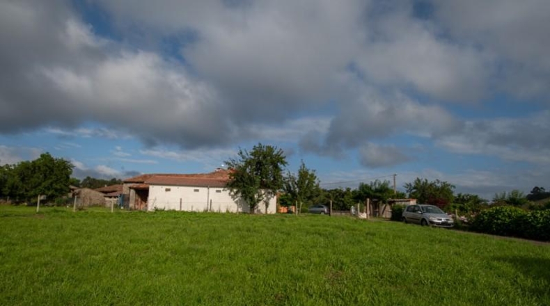 Asturias - Villaviciosa - 870m2