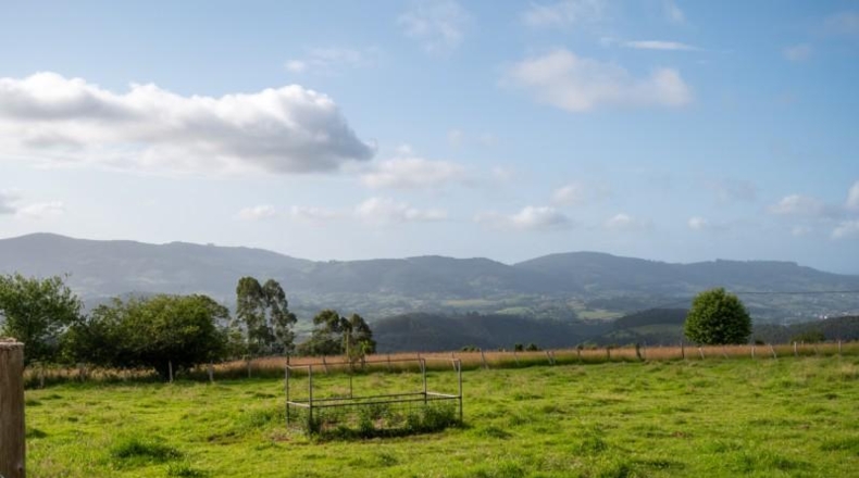 Asturias - Villaviciosa - 870m2