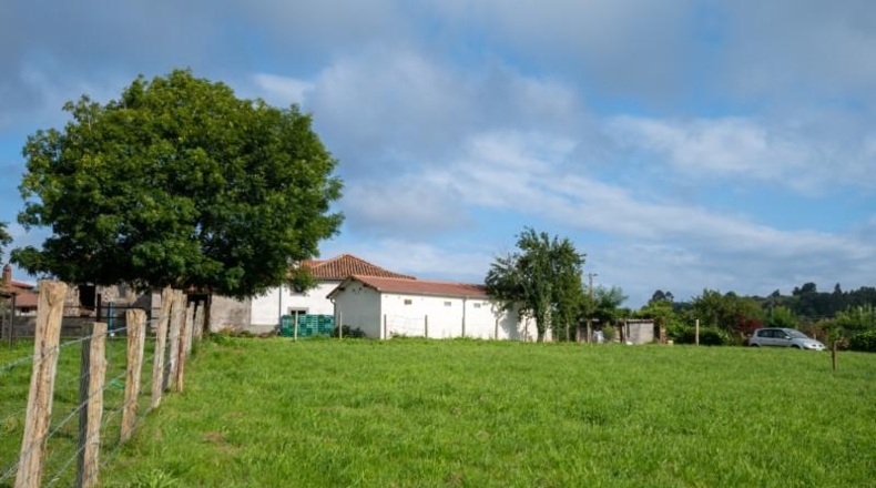 Asturias - Villaviciosa - 870m2