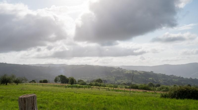 Asturias - Villaviciosa - 870m2