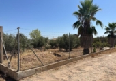 Non-developable land for sale on España, Moraleda de Zafayona, ref: TR170289 photo