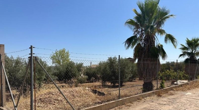 Granada - Moraleda de Zafayona - 3000m2
