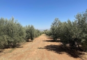 Non-developable land for sale on España, Moraleda de Zafayona, ref: TR170289 photo