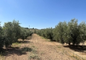 Non-developable land for sale on España, Moraleda de Zafayona, ref: TR170289 photo