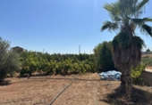Non-developable land for sale on España, Moraleda de Zafayona, ref: TR170289 photo