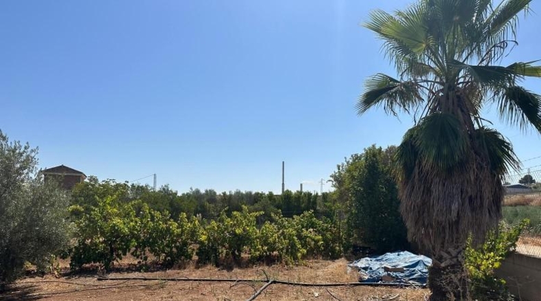 Granada - Moraleda de Zafayona - 3000m2