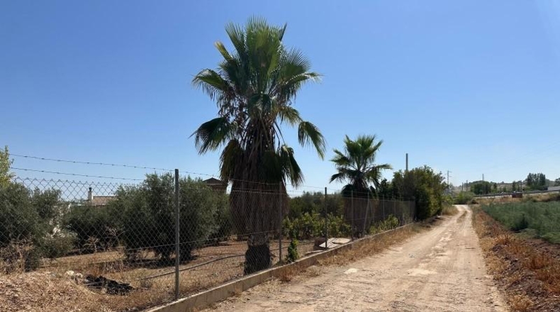Granada - Moraleda de Zafayona - 3000m2