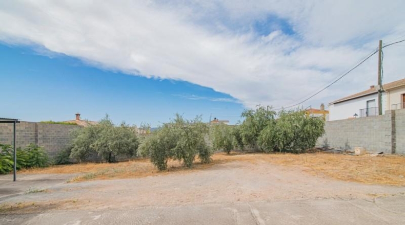 Granada - Moraleda de Zafayona - 253m2