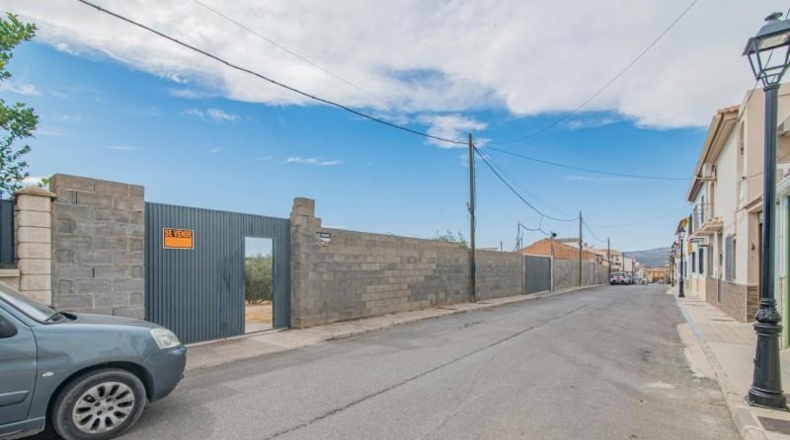 Granada - Moraleda de Zafayona - 253m2