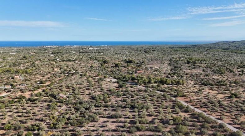 Tarragona - l'Ametlla de Mar - 14068m2